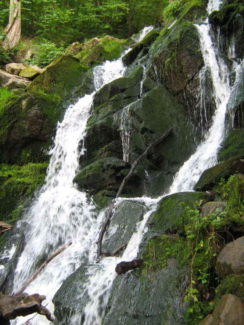 Grön dal och vattenfall i Døndalen på Bornholm