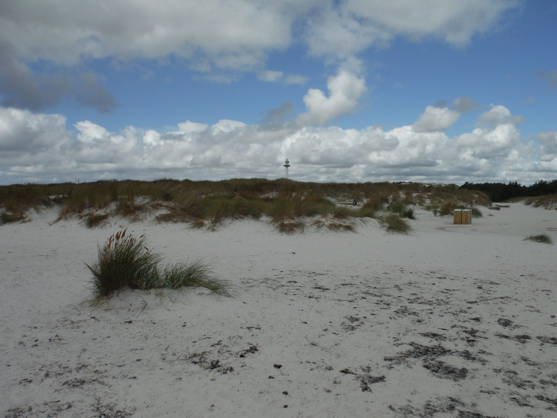 Vit sand och sanddyner vid Dueodde strand